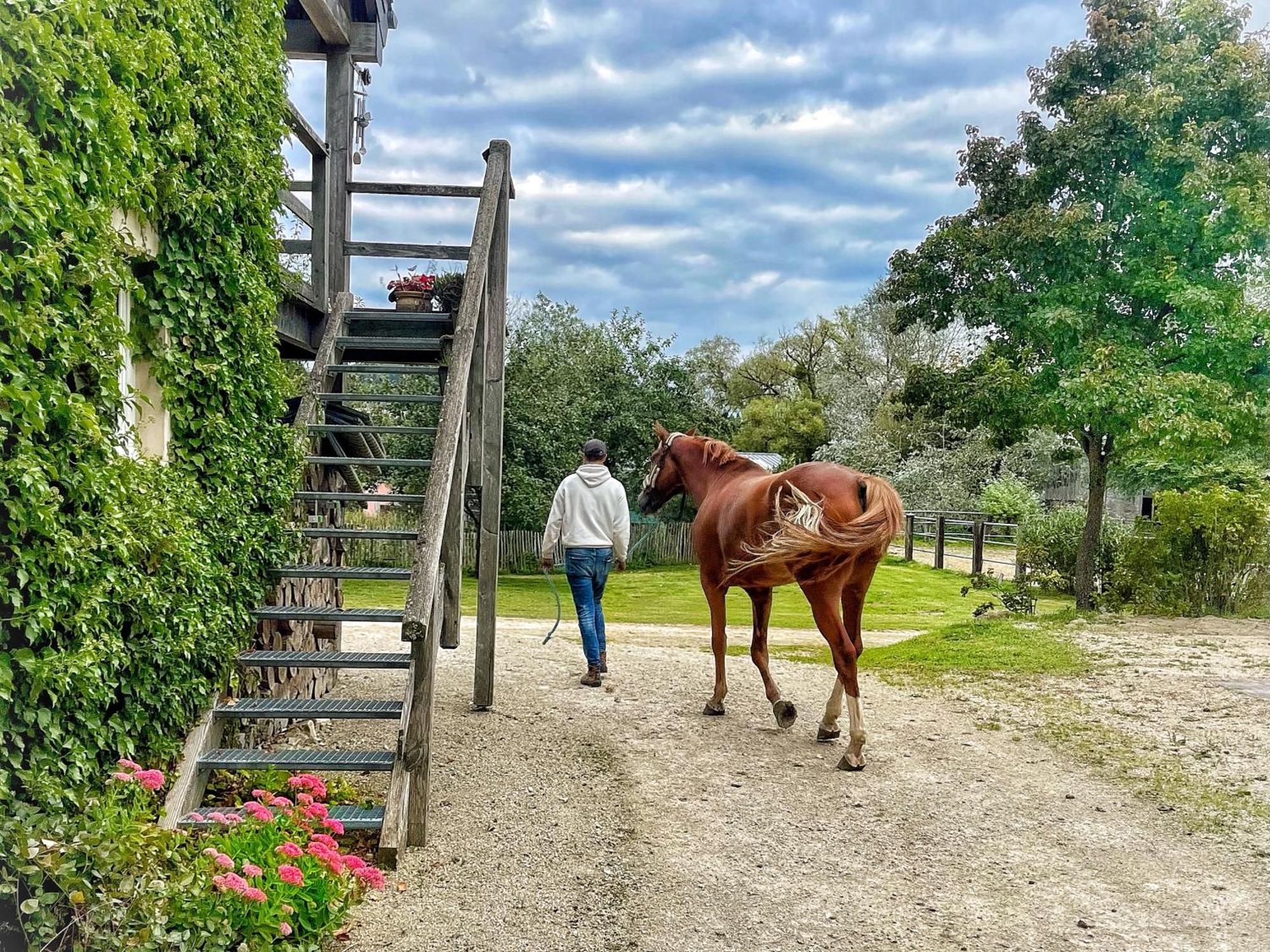 Cottage House Weyer Horse&Groom Room المظهر الخارجي الصورة